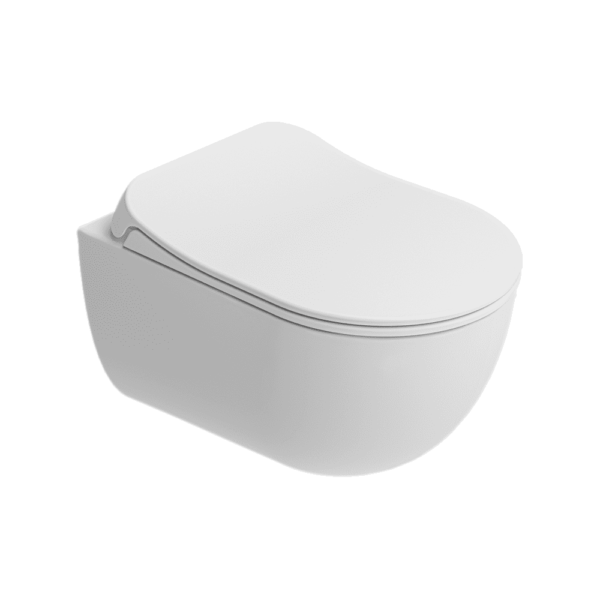 wall hung toilet seat