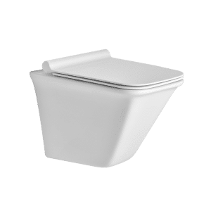 Wall Mounted Rimless Toilet Seat
