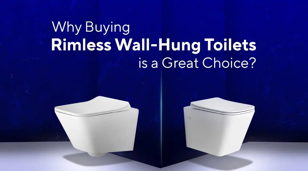 Buying Rimless Wall-Hung Toilets