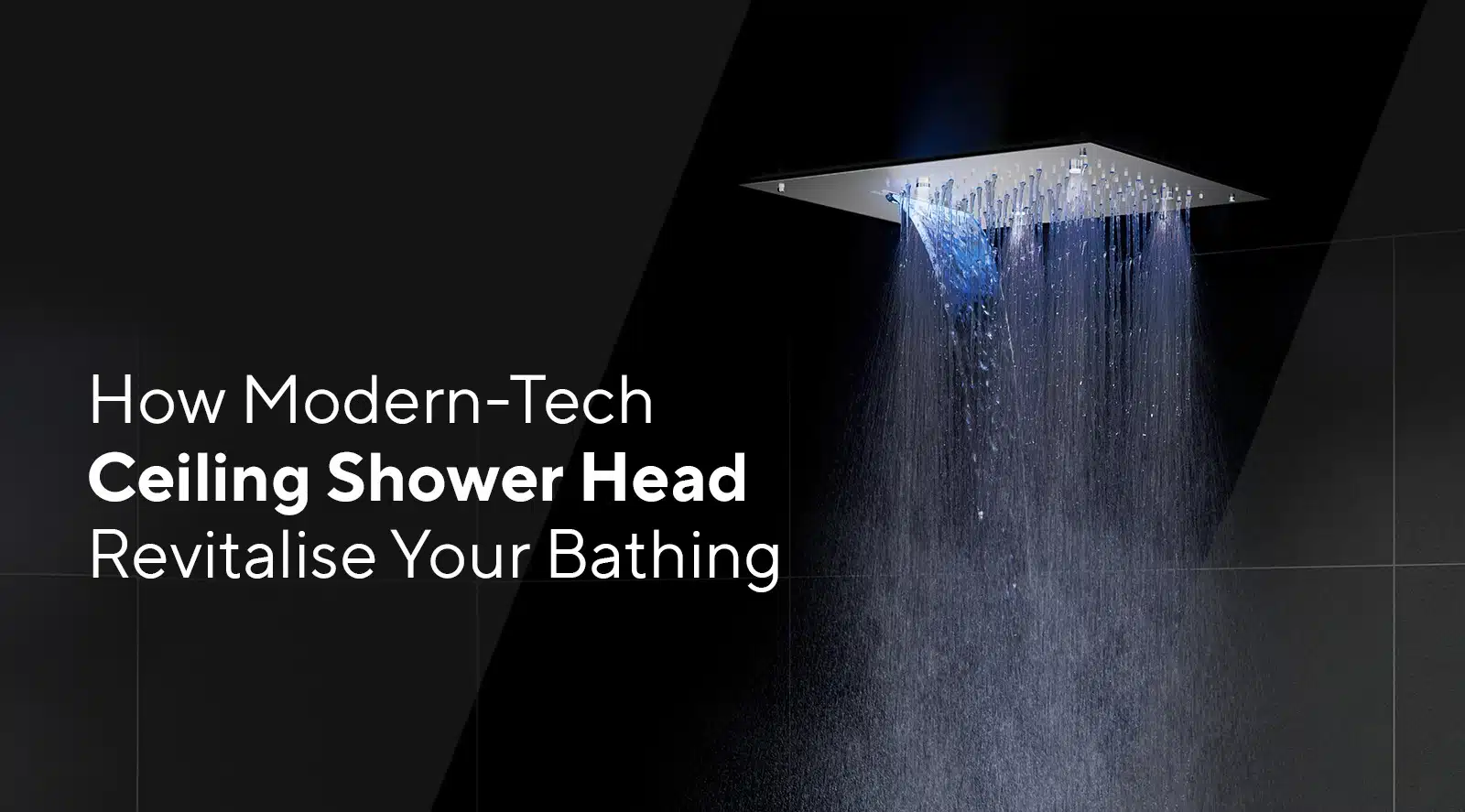 Modern Ceiling Shower Head