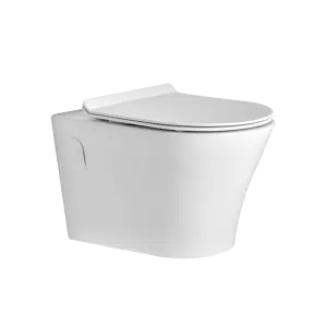 Wall Mounted Toilet Seat for Small Spaces
