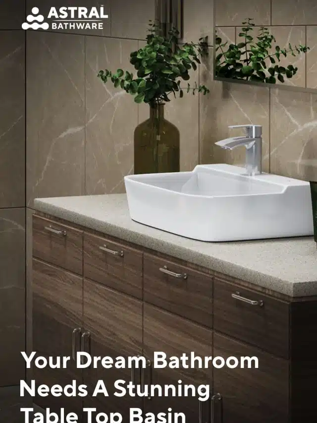 Your dream bathroom needs a stunning table top basin