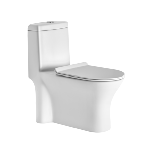 One Piece Floor Mounted Toilet