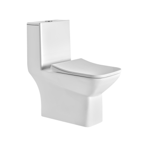 Buy Single Piece Toilet Online