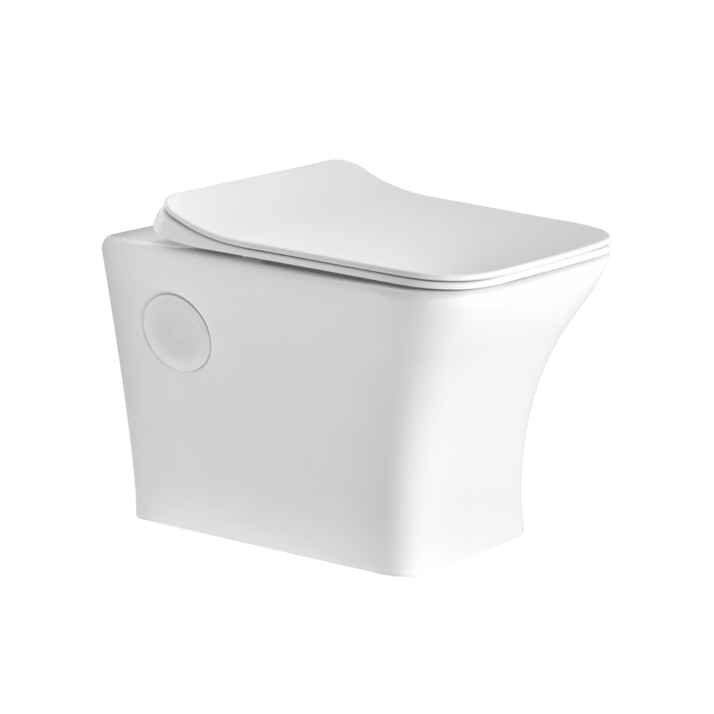 wall hung toilet and seat