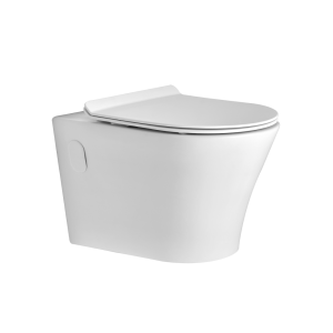 Rimless Wall Hung Toilet