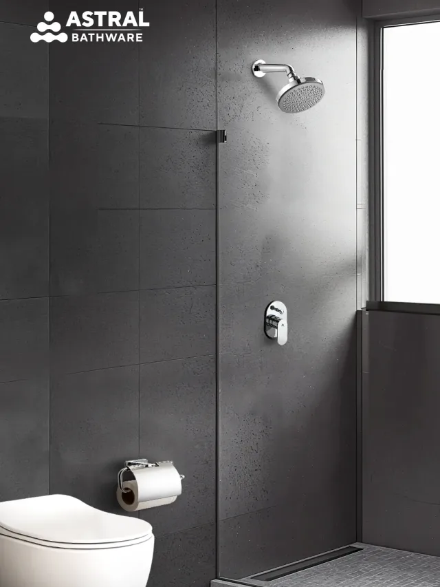 Ideas for Creating a Stunning Shower Room