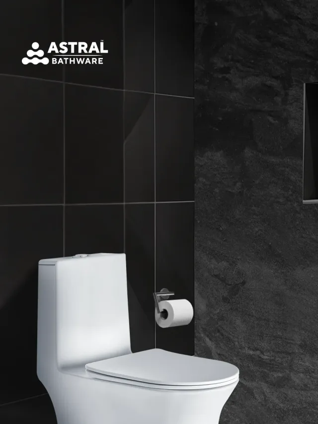 Advantages  of Ceramic One-Piece Toilets